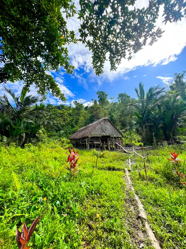 Maison traditionnelle des Shamans au milieu de la jungle